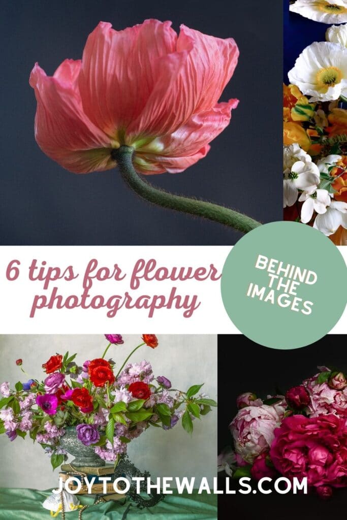 photographing flowers 6 tips